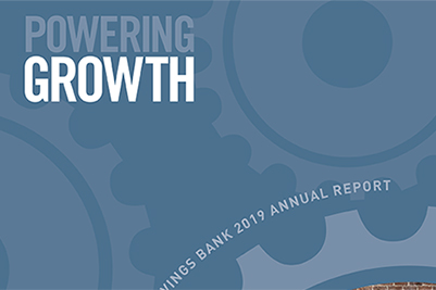 image of the cover of the 2019 annual report cover