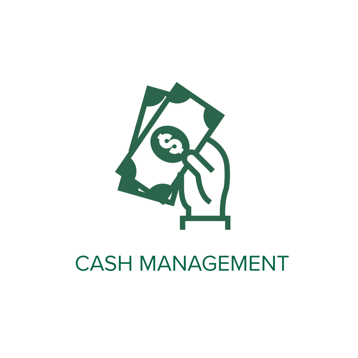 Cash Management icon